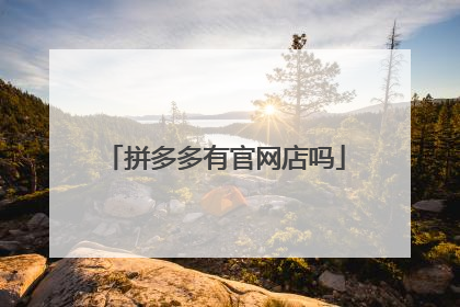 拼多多有官网店吗
