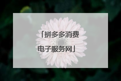 拼多多消费电子服务网