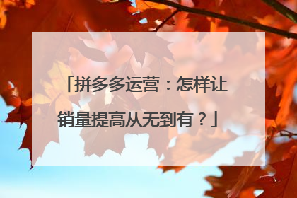拼多多运营:怎样让销量提高从无到有?