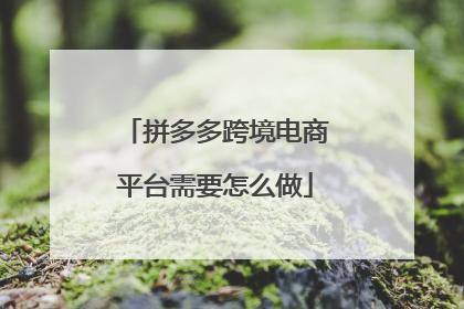 拼多多跨境电商平台需要怎么做