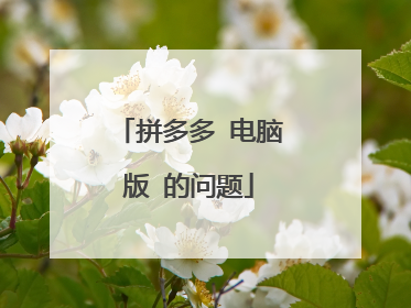 拼多多 电脑版 的问题