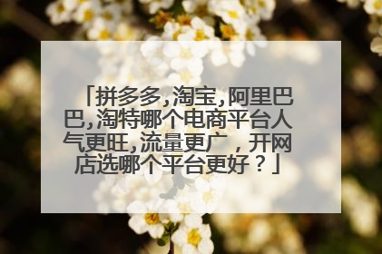 拼多多,淘宝,阿里巴巴,淘特哪个电商平台人气更旺,流量更广,开网店选哪个平台更好?