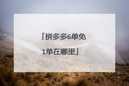 拼多多6单免1单在哪里