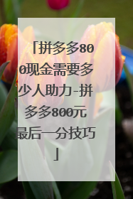 拼多多800现金需要多少人助力-拼多多800元最后一分技巧