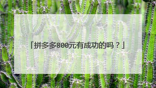 拼多多800元有成功的吗?