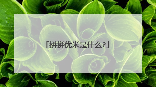 拼拼优米是什么?