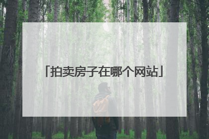 拍卖房子在哪个网站