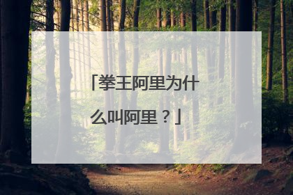 拳王阿里为什么叫阿里?