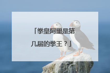 拳皇阿里是第几届的拳王？