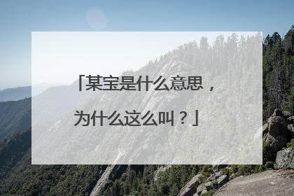 某宝是什么意思,为什么这么叫?