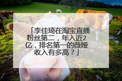 李佳琦在淘宝直播粉丝第二,年入近2亿,排名第一的薇娅收入有多高?