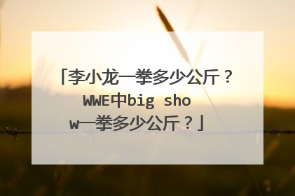 李小龙一拳多少公斤?WWE中big show一拳多少公斤?