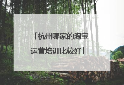 杭州哪家的淘宝运营培训比较好
