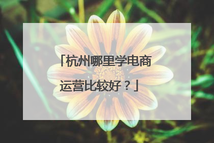 杭州哪里学电商运营比较好?