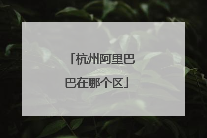杭州阿里巴巴在哪个区