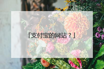 支付宝的网站?
