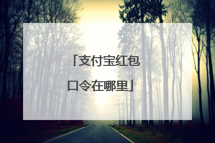 支付宝红包口令在哪里