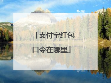 支付宝红包口令在哪里