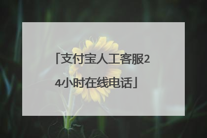 支付宝人工客服24小时在线电话