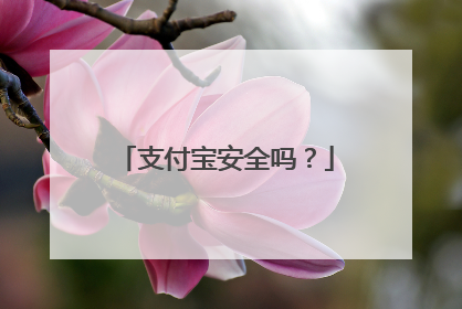 支付宝安全吗?