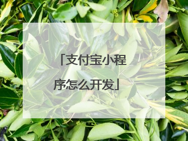 支付宝小程序怎么开发