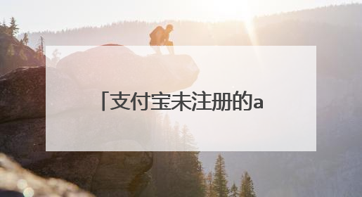 支付宝未注册的api是什么意思