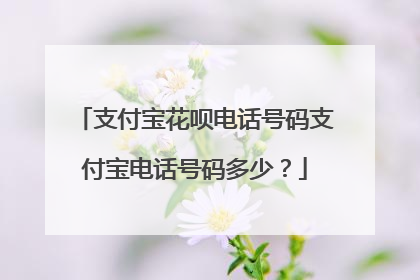 支付宝花呗电话号码支付宝电话号码多少?
