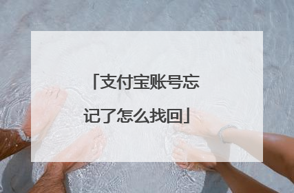 支付宝账号忘记了怎么找回