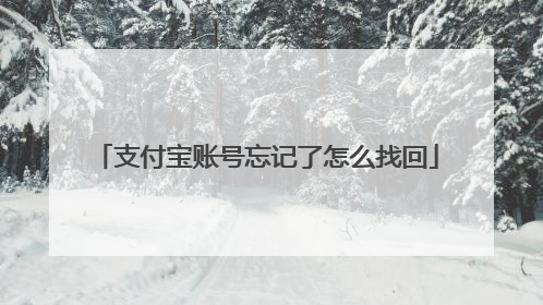 支付宝账号忘记了怎么找回