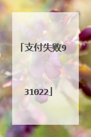 支付失败931022