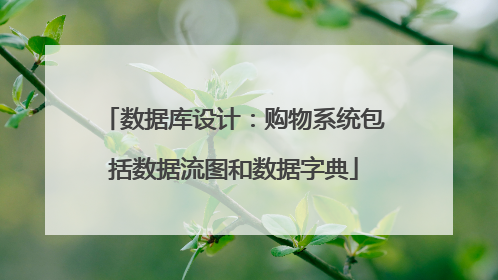 数据库设计：购物系统包括数据流图和数据字典