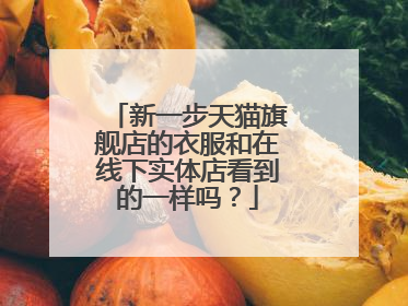 新一步天猫旗舰店的衣服和在线下实体店看到的一样吗?