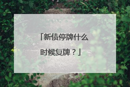 新债停牌什么时候复牌？