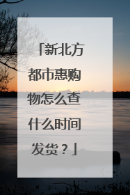 新北方都市惠购物怎么查什么时间发货?
