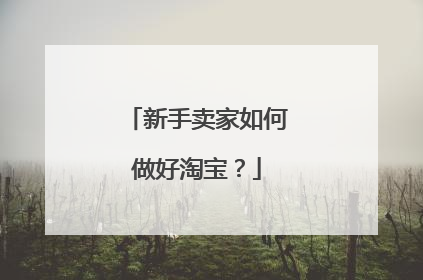 新手卖家如何做好淘宝？