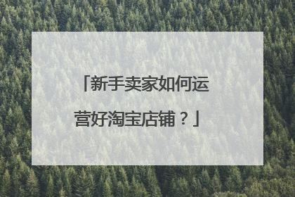 新手卖家如何运营好淘宝店铺？
