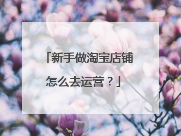 新手做淘宝店铺怎么去运营?