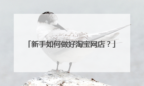 新手如何做好淘宝网店？
