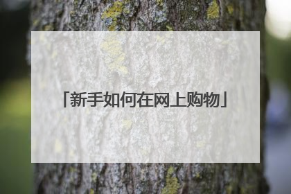 新手如何在网上购物