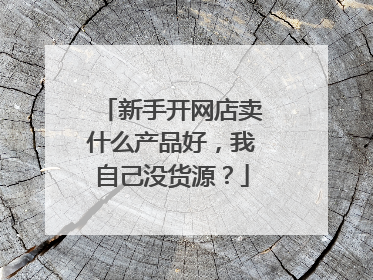 新手开网店卖什么产品好,我自己没货源?