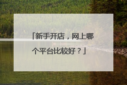 新手开店，网上哪个平台比较好？