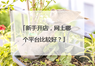 新手开店,网上哪个平台比较好?