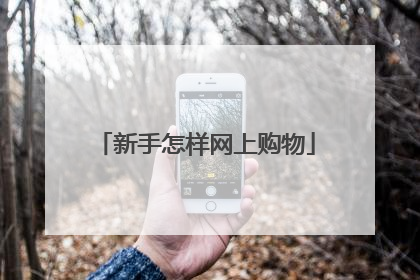 新手怎样网上购物