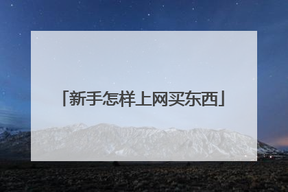 新手怎样上网买东西
