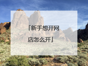 新手想开网店怎么开
