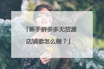 新手拼多多无货源店铺要怎么做?