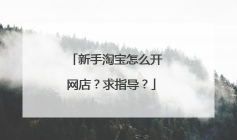 新手淘宝怎么开网店?求指导?