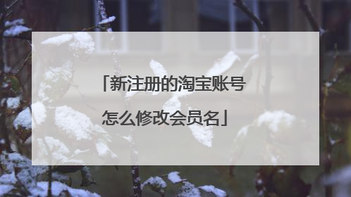 新注册的淘宝账号怎么修改会员名