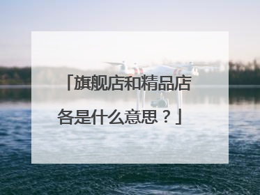 旗舰店和精品店各是什么意思?
