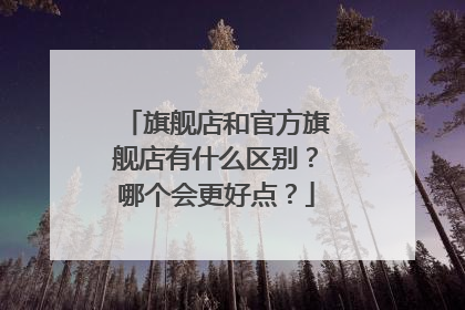 旗舰店和官方旗舰店有什么区别?哪个会更好点?